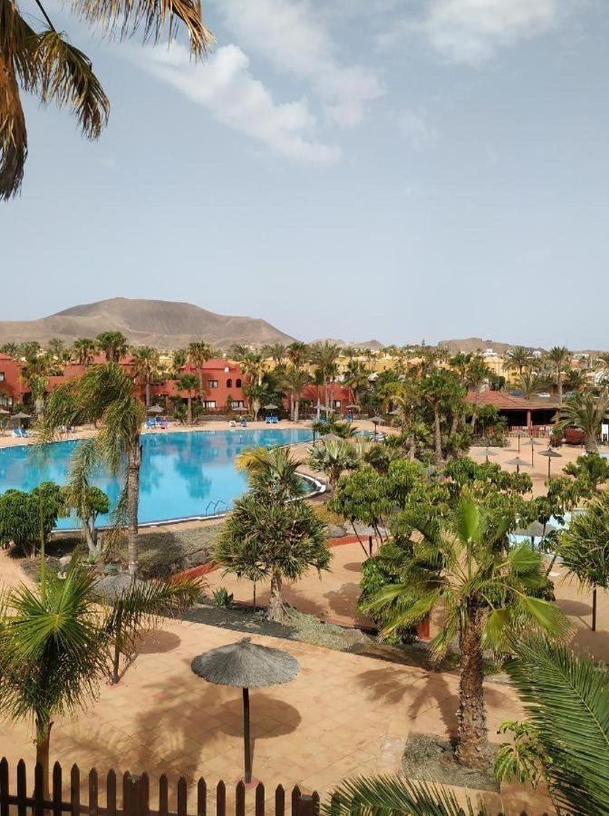 Appartement Oasis Tamarindo Poppins Pool E Terrace *